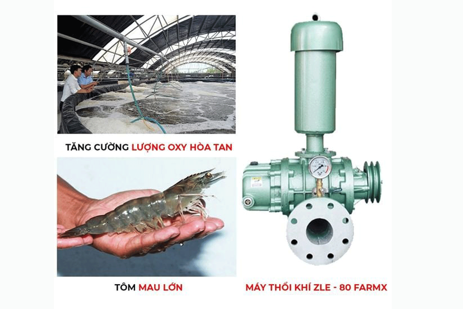 May-thoi-khi-ZLE80-4